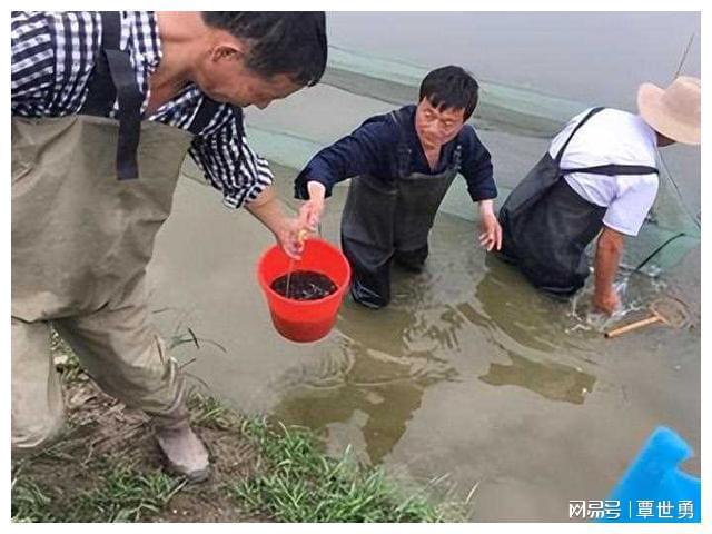 海水致富养殖宝典视频_海水养殖致富宝典_海水养殖什么最赚钱