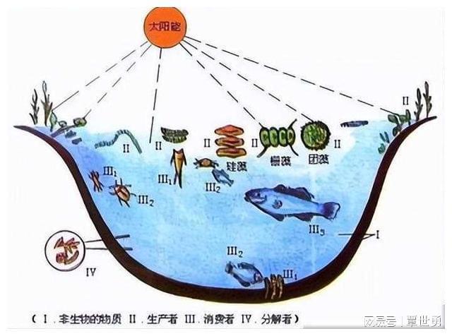 海水养殖致富宝典_海水致富养殖宝典视频_海水养殖什么最赚钱