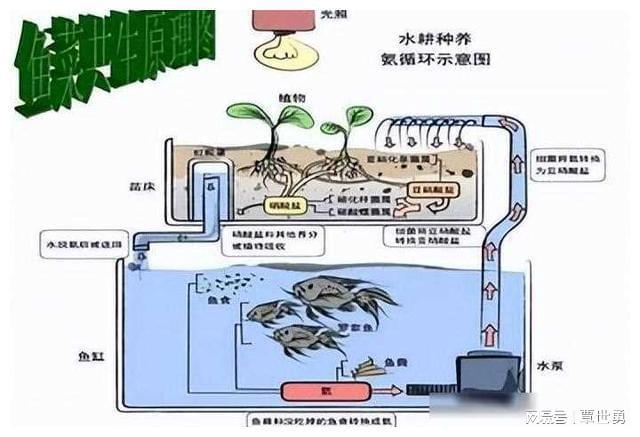 海水养殖致富宝典_海水致富养殖宝典视频_海水养殖什么最赚钱