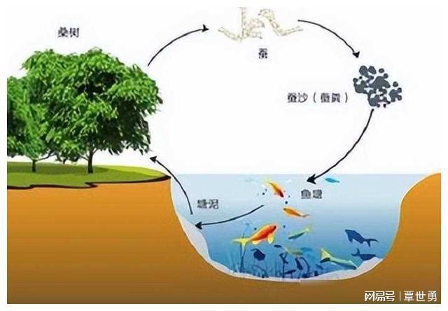 海水致富养殖宝典视频_海水养殖致富宝典_海水养殖什么最赚钱