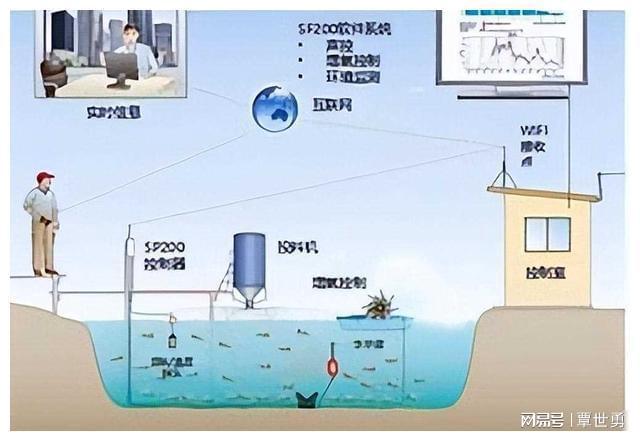 海水养殖致富宝典_海水养殖什么最赚钱_海水致富养殖宝典视频