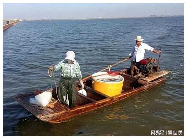 海水养殖什么最赚钱_海水养殖致富宝典_海水致富养殖宝典视频