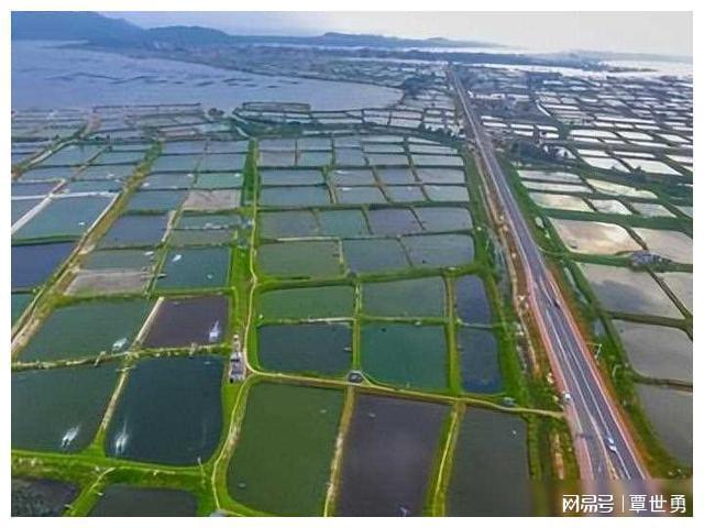 海水养殖致富宝典_海水养殖什么最赚钱_海水致富养殖宝典视频