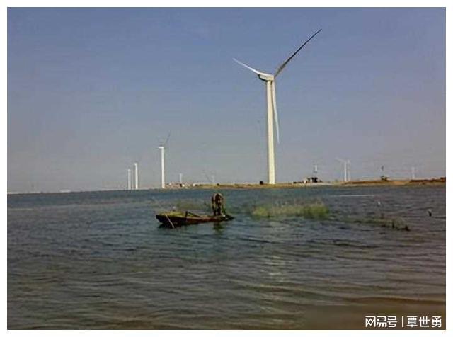 海水致富养殖宝典视频_海水养殖致富宝典_海水养殖什么最赚钱