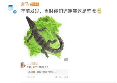 鳄鱼温室养殖设计图_鳄鱼温室养殖技术视频_视频鳄鱼养殖温室技术教程