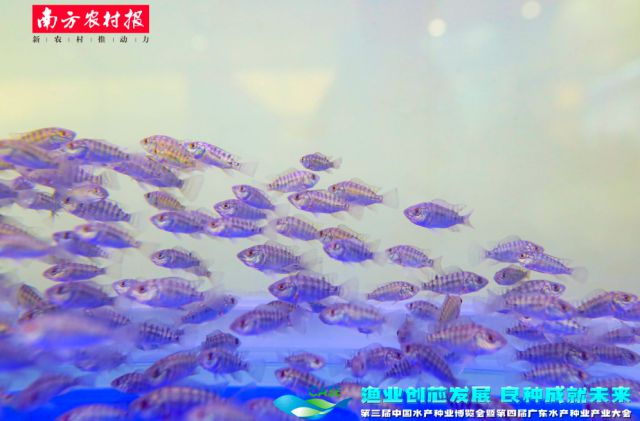 海水养殖致富宝典_海水致富养殖宝典图片_海水致富养殖宝典视频