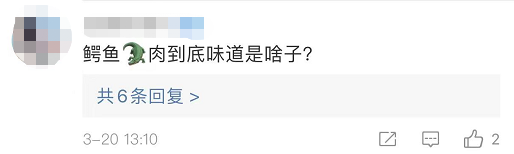 鳄鱼温室养殖技术视频_鳄鱼养殖技术指导视频_鳄鱼养殖需要什么天气