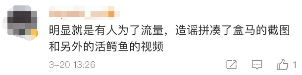 鳄鱼温室养殖技术视频_鳄鱼养殖需要什么天气_鳄鱼养殖技术指导视频