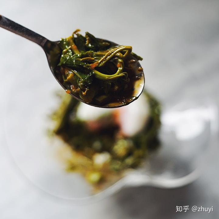 香椿种植前景及利润_致富经香椿_香椿收益