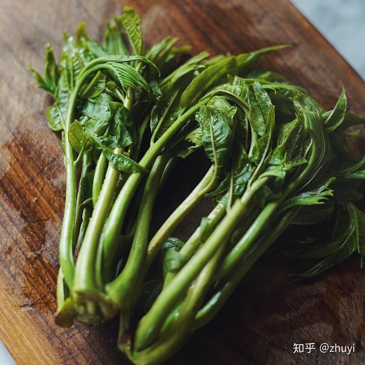 香椿种植前景及利润_致富经香椿_香椿收益