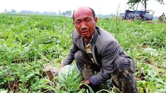 致富经东北农村_东北农村致富项目_致富东北农村生活视频