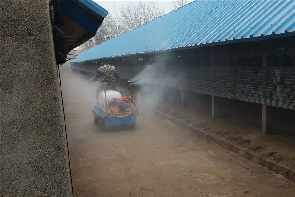 威海草莓收获时间_威海种植草莓致富新闻_威海草莓产业论坛