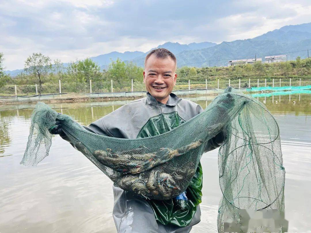 海南养龙虾的投资陷阱_致富经海南养殖小龙虾_海南小龙虾养殖第一人