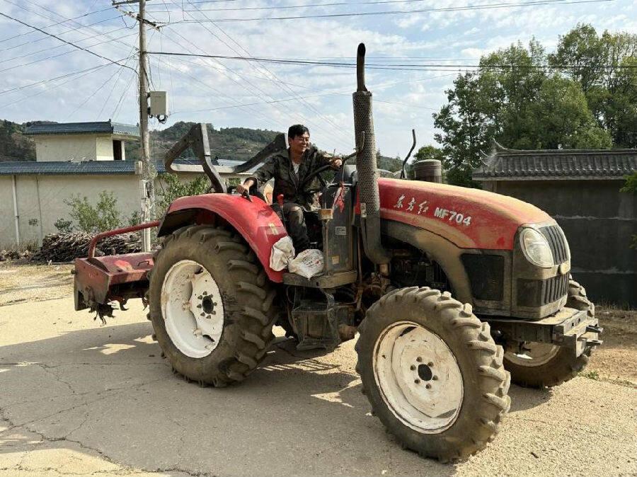 养殖马蜂赚钱吗_致富经马蜂养殖_致富养殖马蜂视频大全