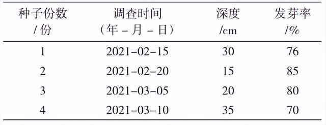 林下黄精高产栽培及病虫害防治技术探讨