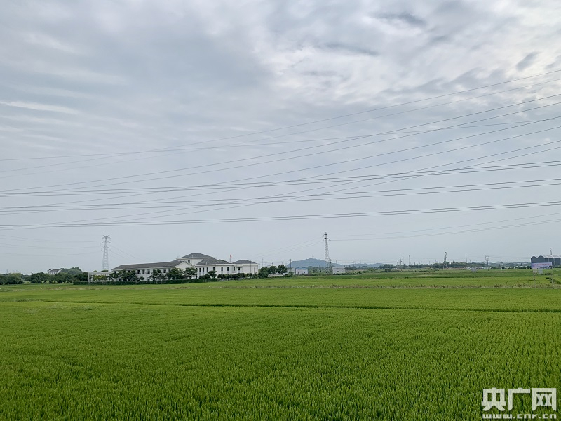 优质粮食工程总结_优质粮食工程经验交流材料_优质粮食工程典型经验交流