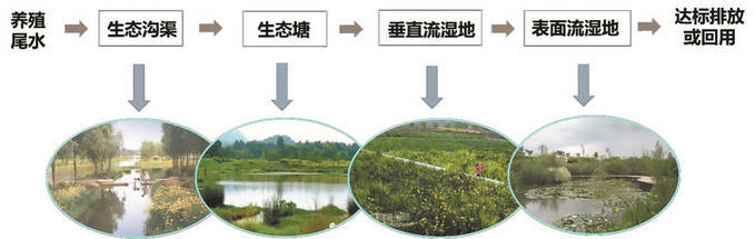 江苏加快高标准鱼池建设，实现尾水达标排放