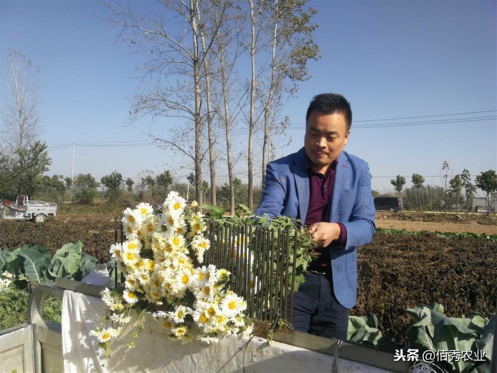 种地老人_87岁老人种植致富_老年人致富