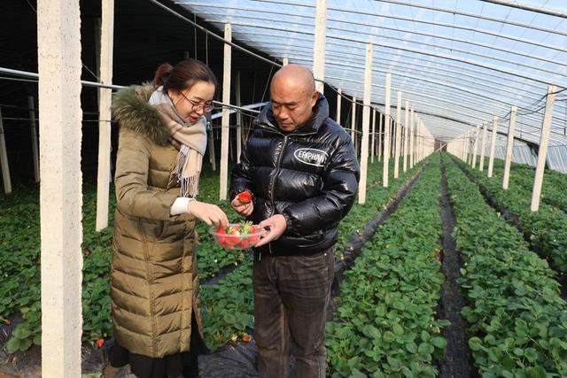 水果大王致富经_致富大王水果图片_致富大王水果图片大全