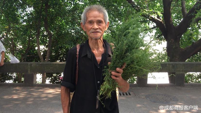 种地老人_种植致富案例_87岁老人种植致富