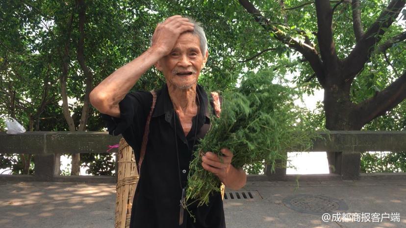 种地老人_87岁老人种植致富_种植致富案例