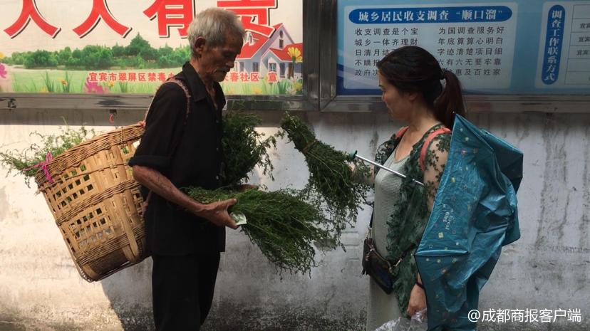 87岁老人种植致富_种植致富案例_种地老人