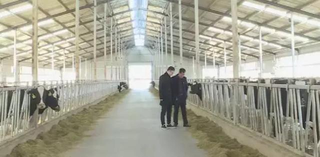 致富养殖快车图片高清_养殖致富快车图片_致富养殖快车图片欣赏