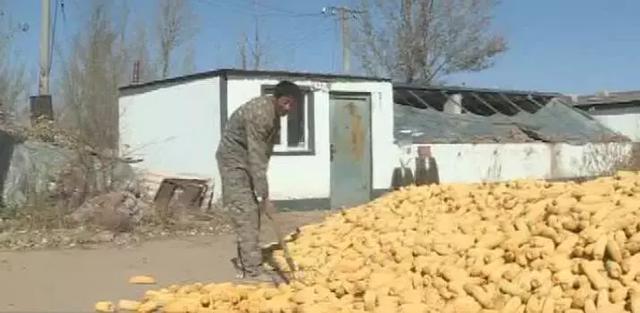 养殖致富快车图片_致富养殖快车图片高清_致富养殖快车图片欣赏