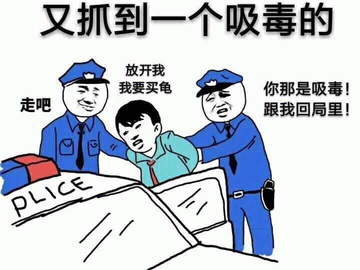 黑颈龟养殖风险在哪方面_黑颈龟养殖技术_黑颈龟养殖技术视频