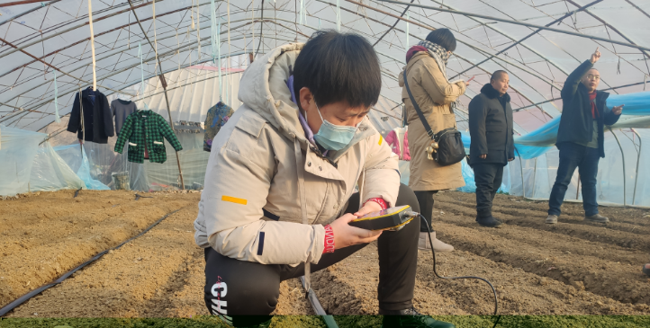 视频生姜种植技术教程_视频生姜种植技术大全_种植生姜的技术视频