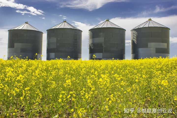 农民致富养殖什么_致富养殖农民视频_农民致富养殖业