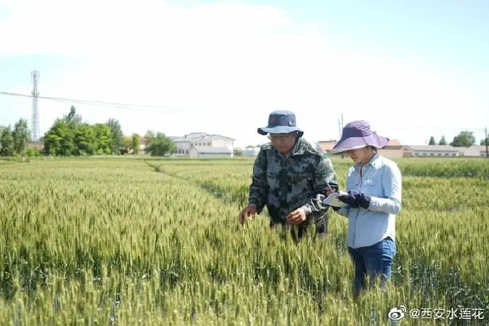 农村致富项目种植业_农林种植致富_致富种植农林的意义