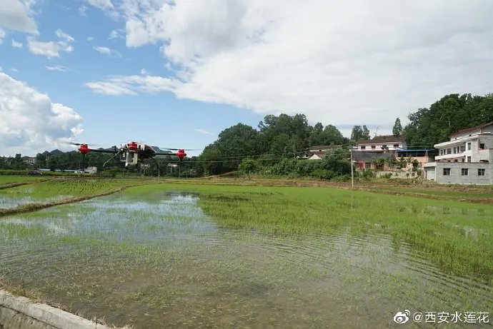 农林种植致富_致富种植农林的意义_农村致富项目种植业