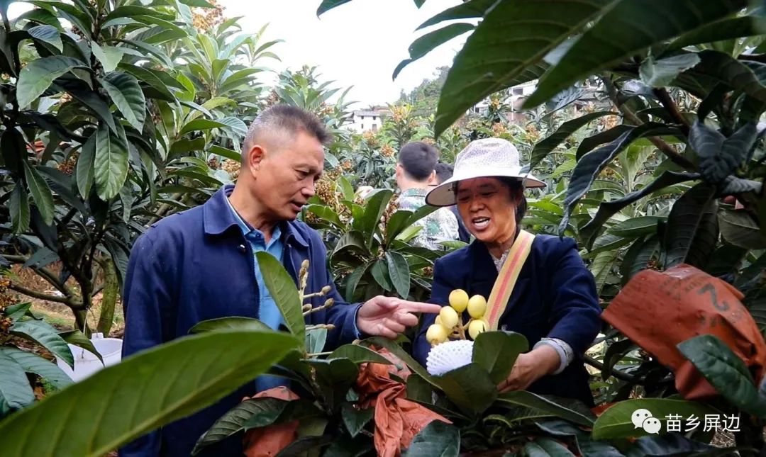 果树种植致富经_致富果树种植条件_致富果树种植方法