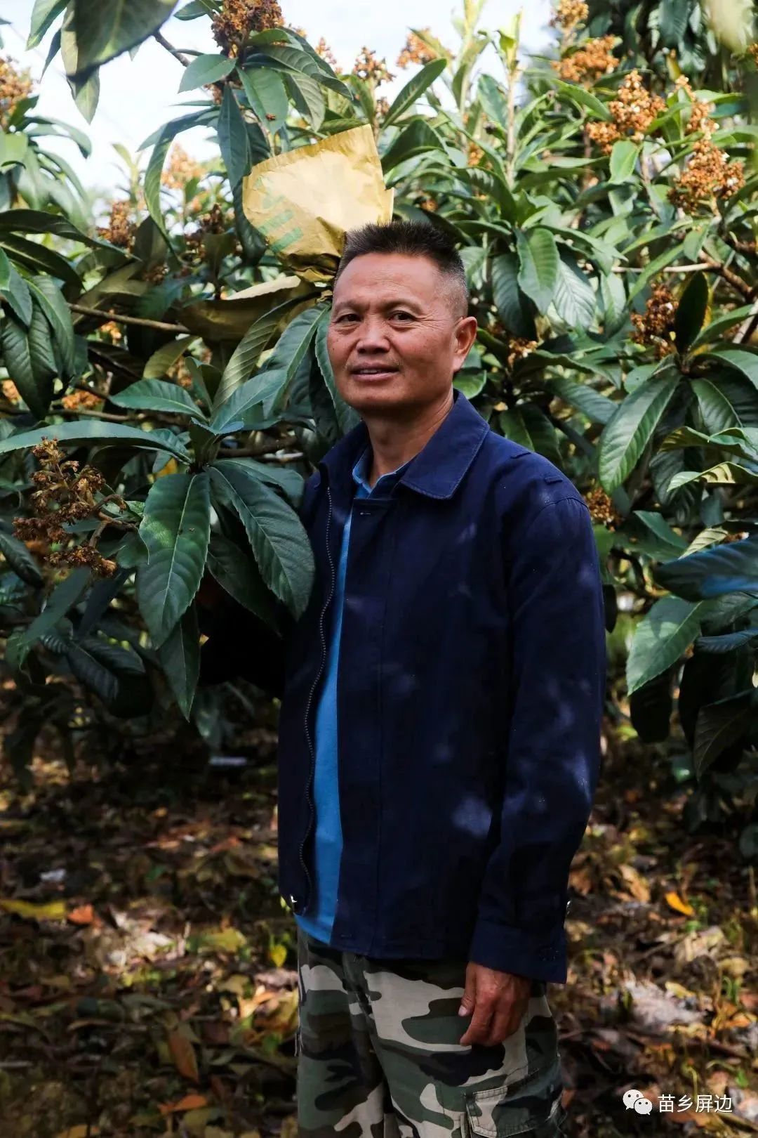 果树种植致富经_致富果树种植条件_致富果树种植方法