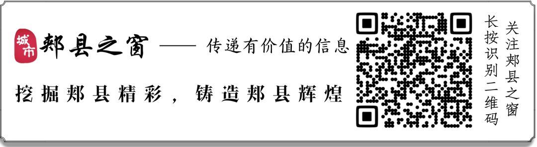 茶叶种植园_种植茶叶基地农民致富_茶叶农场示范基地