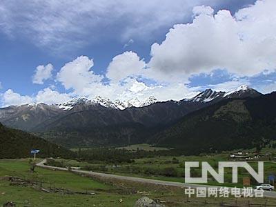 果树种植致富经_农村种植果树致富好项目_致富果树种植方法