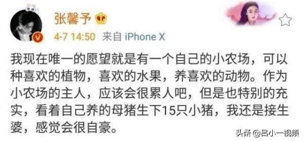 母猪养殖致富视频_视频致富养殖母猪是真的吗_致富经母猪养殖视频