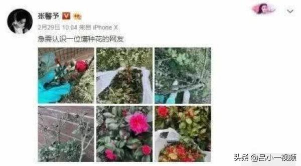 母猪养殖致富视频_致富经母猪养殖视频_视频致富养殖母猪是真的吗