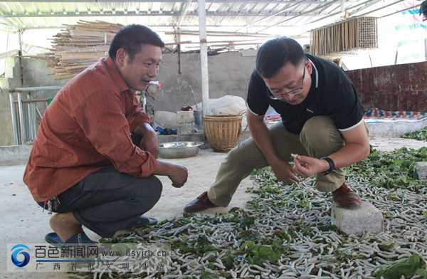 农牧种植致富项目_致富经牧草种植视频_牧富畜业