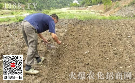 河北地膜花生种植技术_花生种植地膜覆盖视频_河北地膜花生播种时间