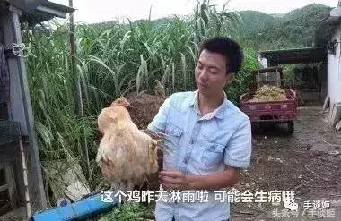 养殖竹鼠赚钱吗_江西竹鼠养殖基地_江西养殖竹鼠技术视频