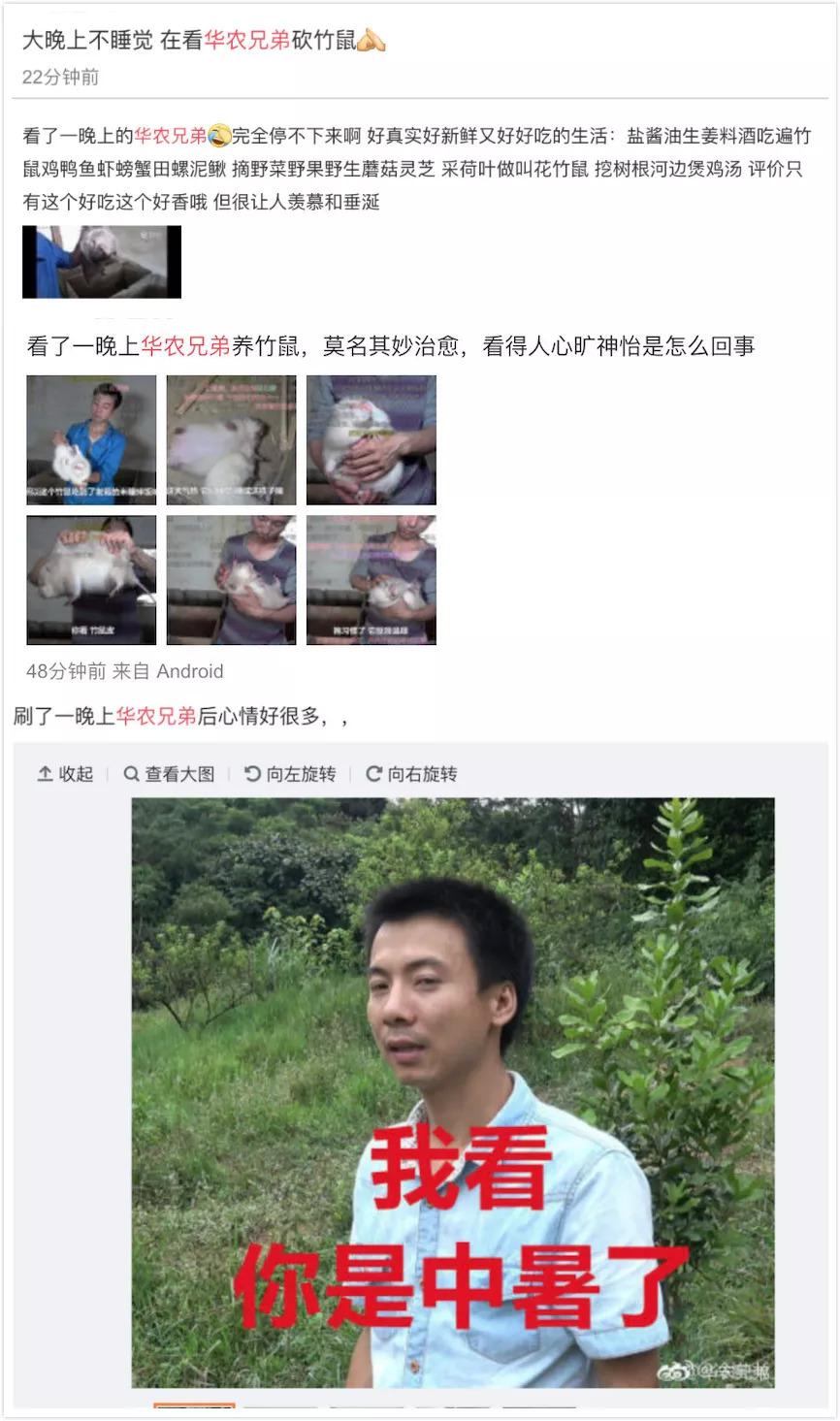 竹鼠养殖技术视频高清_人工养殖竹鼠技术视频_江西养殖竹鼠技术视频