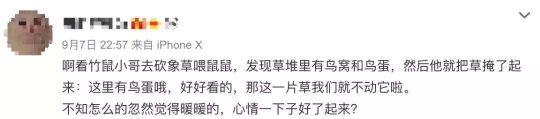 江西养殖竹鼠技术视频_人工养殖竹鼠技术视频_竹鼠养殖技术视频高清