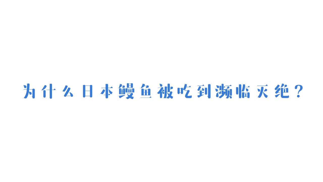 致富经山鳗鱼养殖_鳗鱼养殖效益_鳗鱼养殖利润一年多少