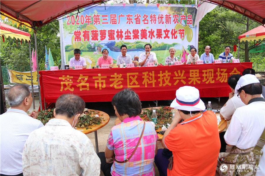 茂名市老促会在化州老区 召开推广种植常有菠萝现场会