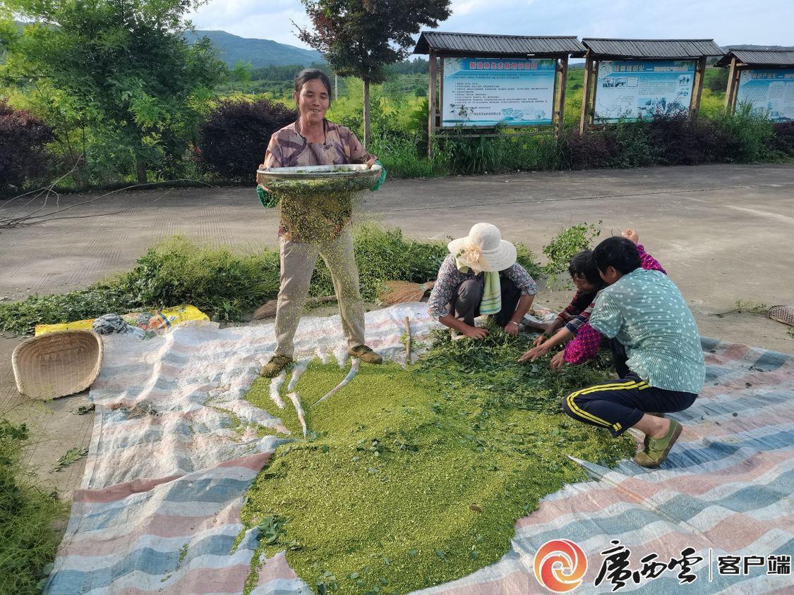 致富种植视频全集_全州种植致富项目_种植致富案例