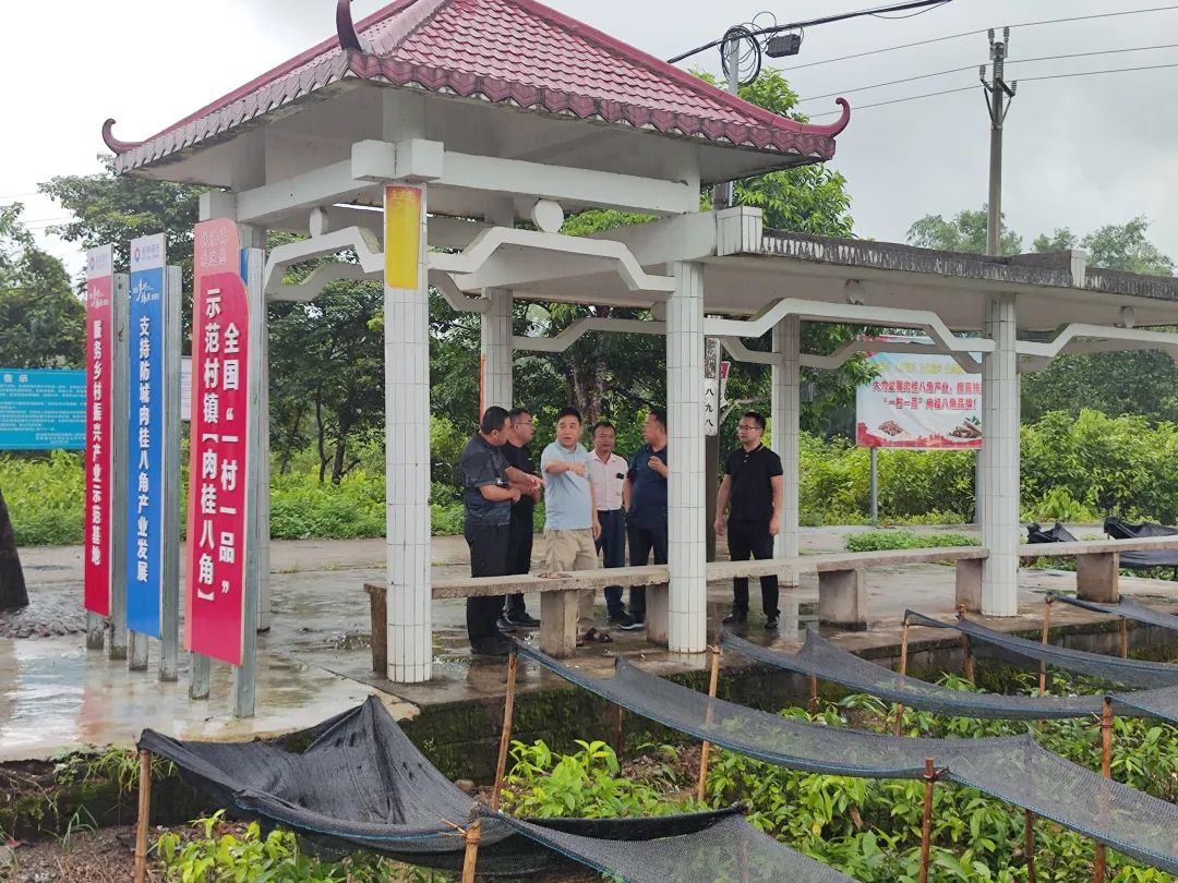 上海种植什么树_上海种植致富树_上海怎样种植