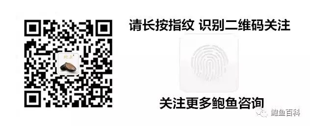 鲍鱼淡水能养殖技术_淡水能养殖鲍鱼吗_鲍鱼可以养在淡水鱼缸吗