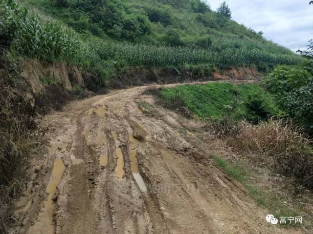 养殖致富小野猪_致富经野猪养殖视频_致富野猪养殖小视频